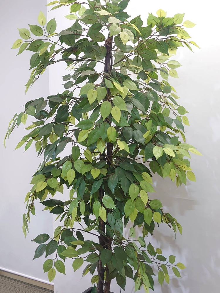 【店頭引き渡し限定】フェイクグリーン オフィスグリーン 観葉植物 インテリアグリーン 人工観葉植物 造花【中古オフィス家具】【中古】 - 画像 (2)