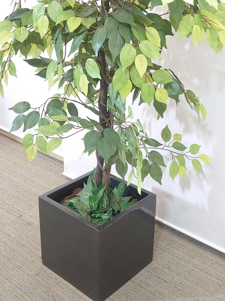 【店頭引き渡し限定】フェイクグリーン オフィスグリーン 観葉植物 インテリアグリーン 人工観葉植物 造花【中古オフィス家具】【中古】 - 画像 (3)