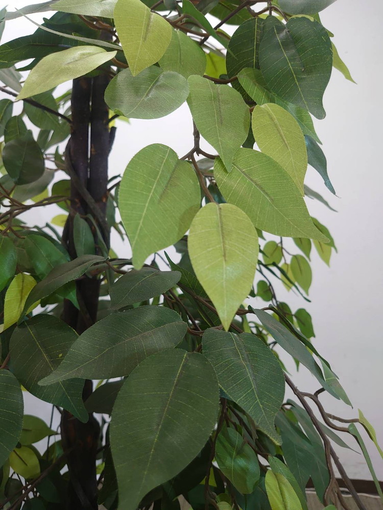 【店頭引き渡し限定】フェイクグリーン オフィスグリーン 観葉植物 インテリアグリーン 人工観葉植物 造花【中古オフィス家具】【中古】 - 画像 (4)