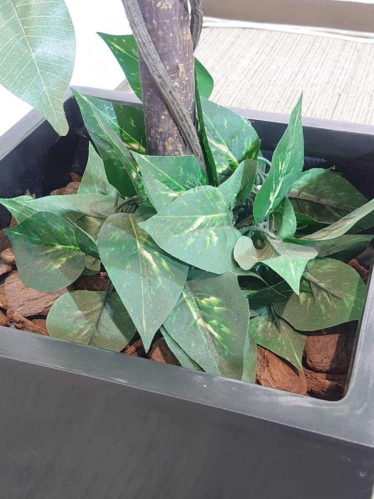 【店頭引き渡し限定】フェイクグリーン オフィスグリーン 観葉植物 インテリアグリーン 人工観葉植物 造花【中古オフィス家具】【中古】 - 画像 (5)