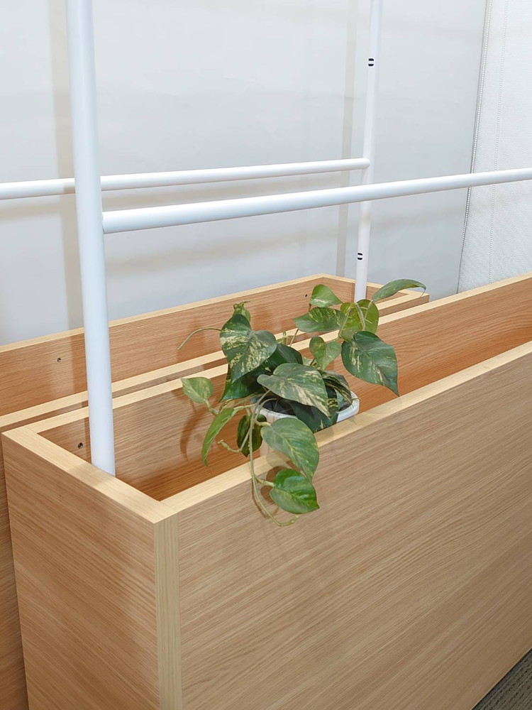 【送料無料 東京地区限定】 2点セット コクヨ ラダースクリーン プランターボックス プランター フラワースタンド フラワーボックス 植物ポット DAYS BOUNDARY W1500×D300×H1800 XY-BLSPX157MC1N 【中古オフィス家具】【中古】 - 画像 (5)