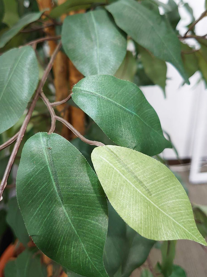 【送料無料 東京地区限定】 【美品】 展示品 人工樹木 3.5m シンボルツリー フェイクグリーン 大型 特注 大型人工樹木 人工観葉樹 屋内用 観葉植物 人工観葉植物 造花 装飾 作り物 オフィスグリーン インテリアグリーン - 画像 (7)