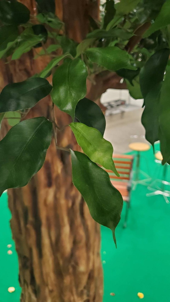 【送料無料 東京地区限定】 【美品】 展示品 人工樹木 3.5m シンボルツリー フェイクグリーン 大型 特注 大型人工樹木 人工観葉樹 屋内用 観葉植物 人工観葉植物 造花 装飾 作り物 オフィスグリーン インテリアグリーン - 画像 (13)