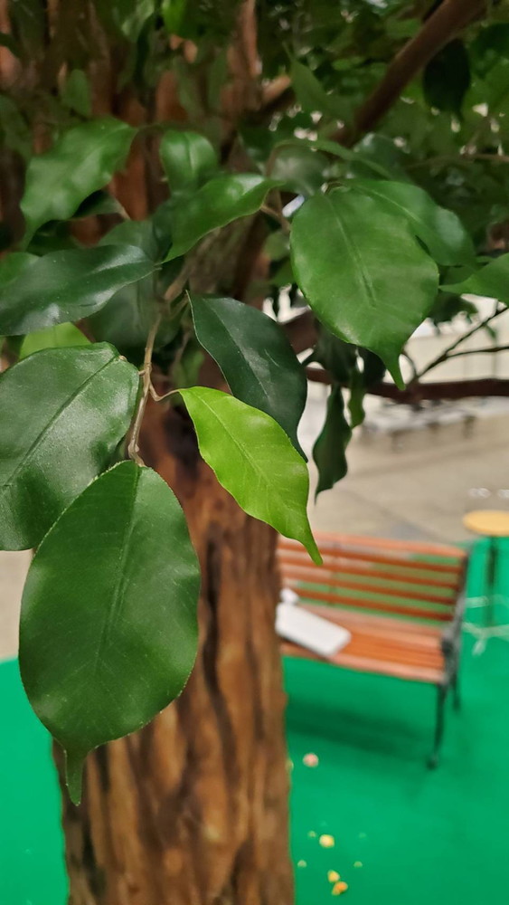 【送料無料 東京地区限定】 【美品】 展示品 人工樹木 3.5m シンボルツリー フェイクグリーン 大型 特注 大型人工樹木 人工観葉樹 屋内用 観葉植物 人工観葉植物 造花 装飾 作り物 オフィスグリーン インテリアグリーン - 画像 (14)