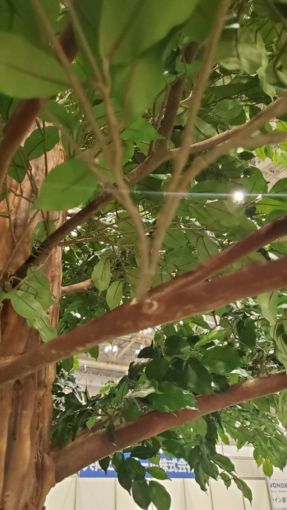 【送料無料 東京地区限定】 【美品】 展示品 人工樹木 3.5m シンボルツリー フェイクグリーン 大型 特注 大型人工樹木 人工観葉樹 屋内用 観葉植物 人工観葉植物 造花 装飾 作り物 オフィスグリーン インテリアグリーン - 画像 (15)