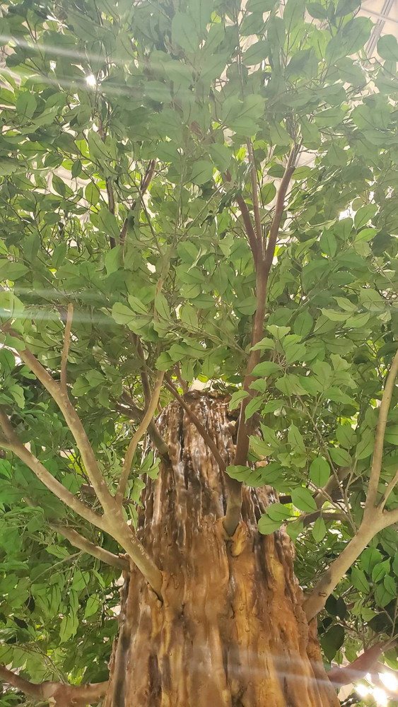 【送料無料 東京地区限定】 【美品】 展示品 人工樹木 3.5m シンボルツリー フェイクグリーン 大型 特注 大型人工樹木 人工観葉樹 屋内用 観葉植物 人工観葉植物 造花 装飾 作り物 オフィスグリーン インテリアグリーン - 画像 (10)